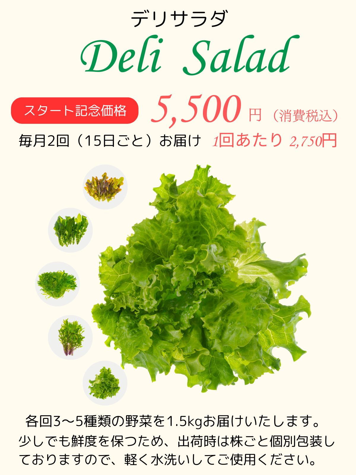 Deli salad 野菜の定期購入 Deli salad 野菜の定期購入